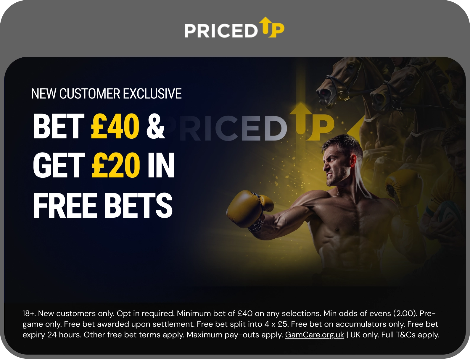 PricedUp offer
